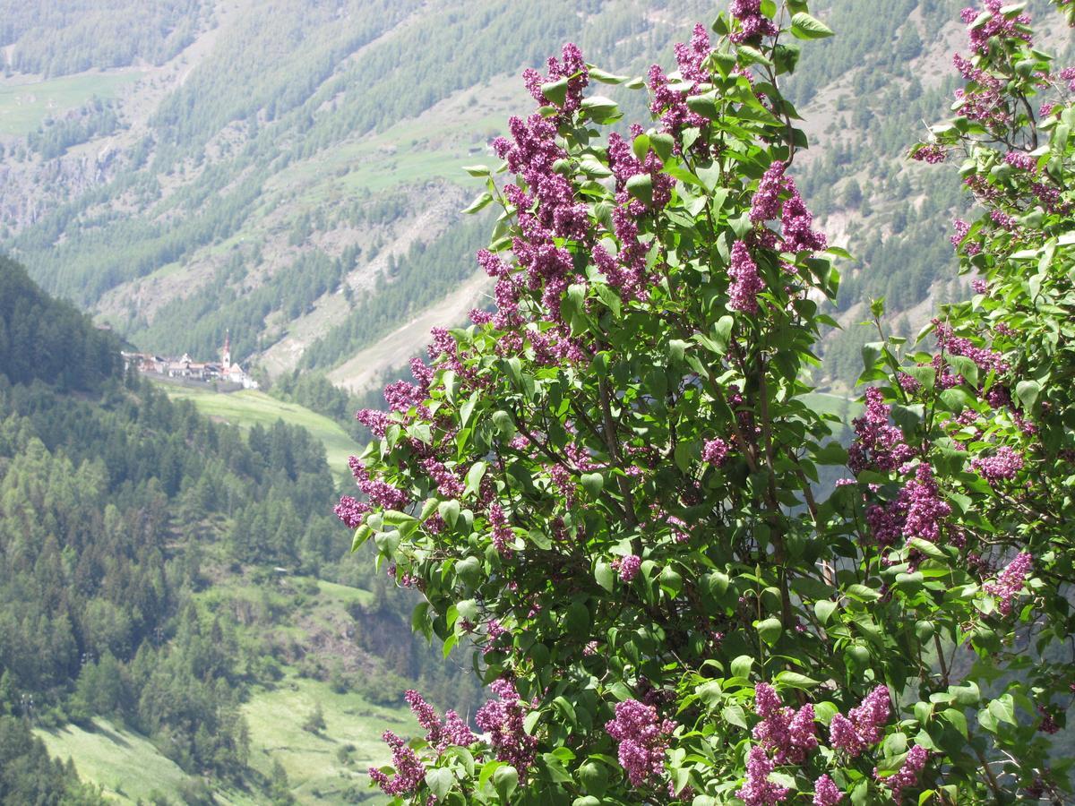 Hotel Am Fels Senale Esterno foto